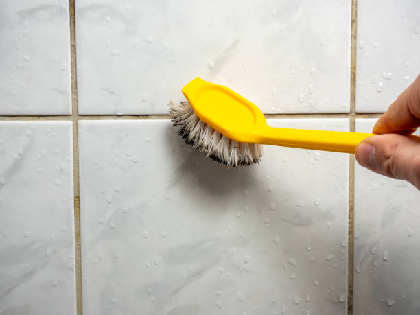 Best Mold Testing  in Brady, TX