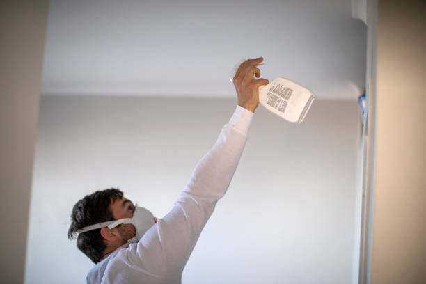 Professional Mold Removal in Brady, TX