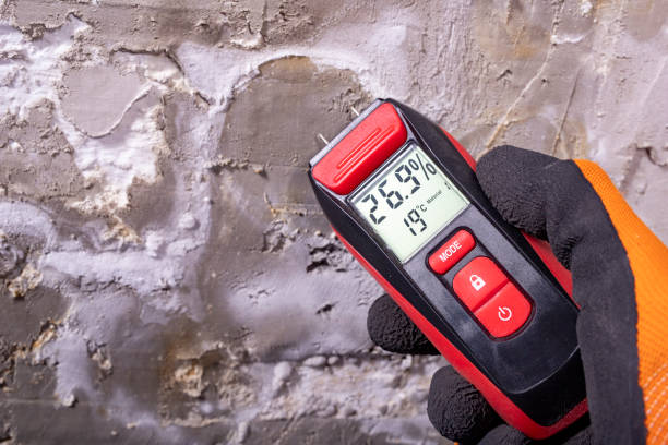 Best Home Mold Removal  in Brady, TX