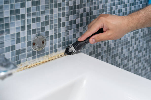 Best Mold Removal Company Near Me  in Brady, TX