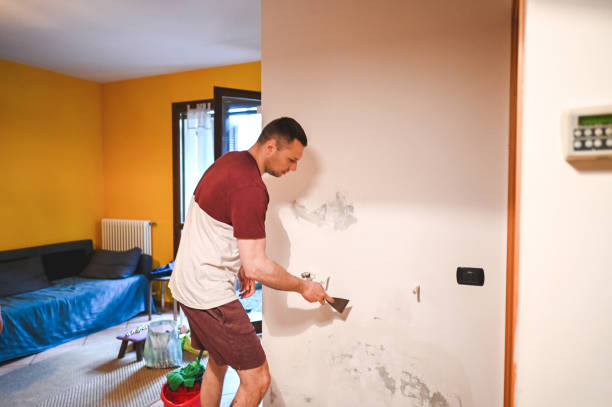 Best Residential Mold Removal  in Brady, TX