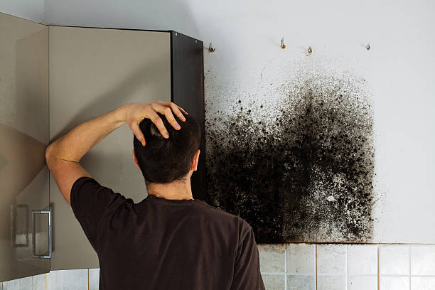 Best Crawl Space Mold Removal  in Brady, TX